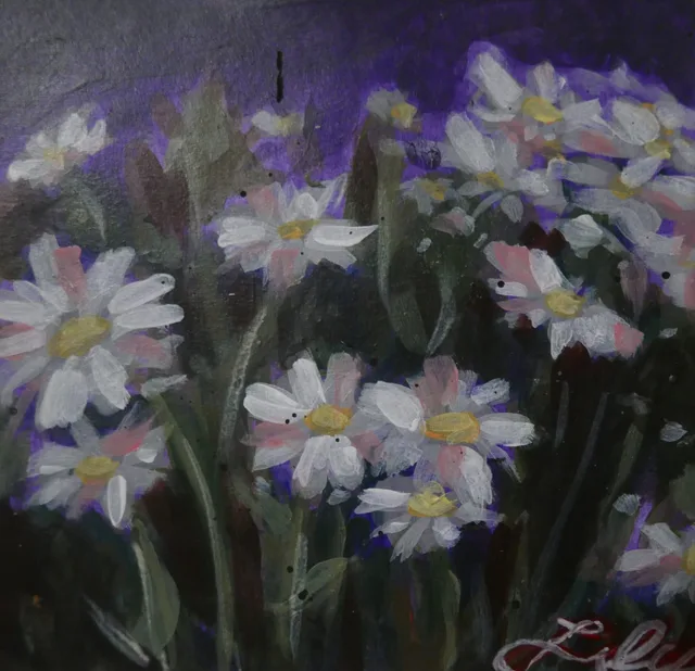 Daisies